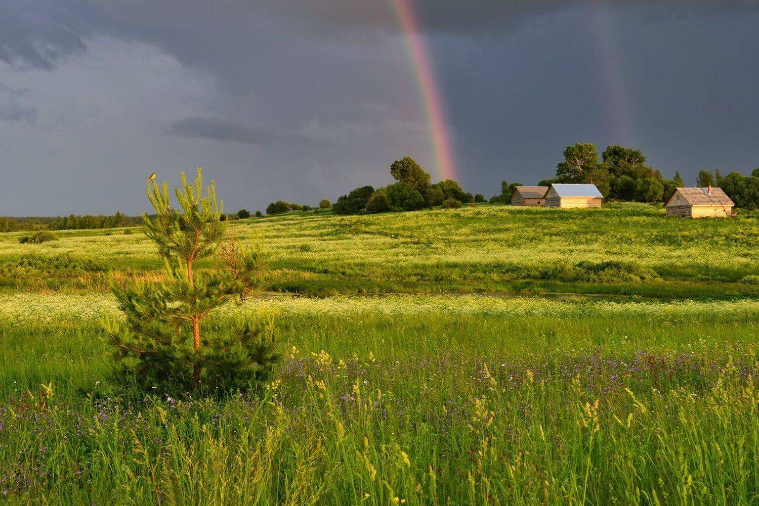 , Максим Евдокимов