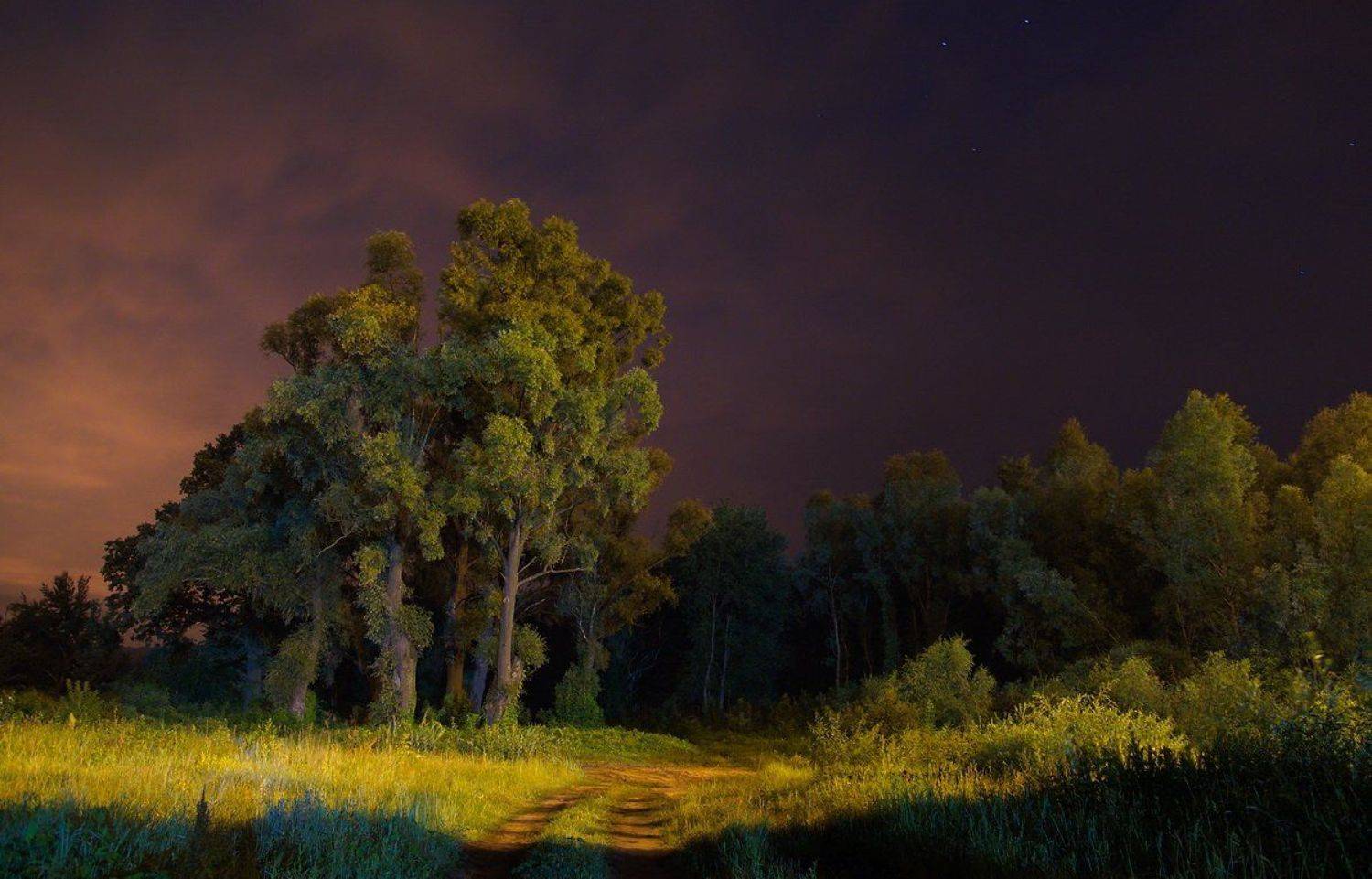 , Сергей Шляга