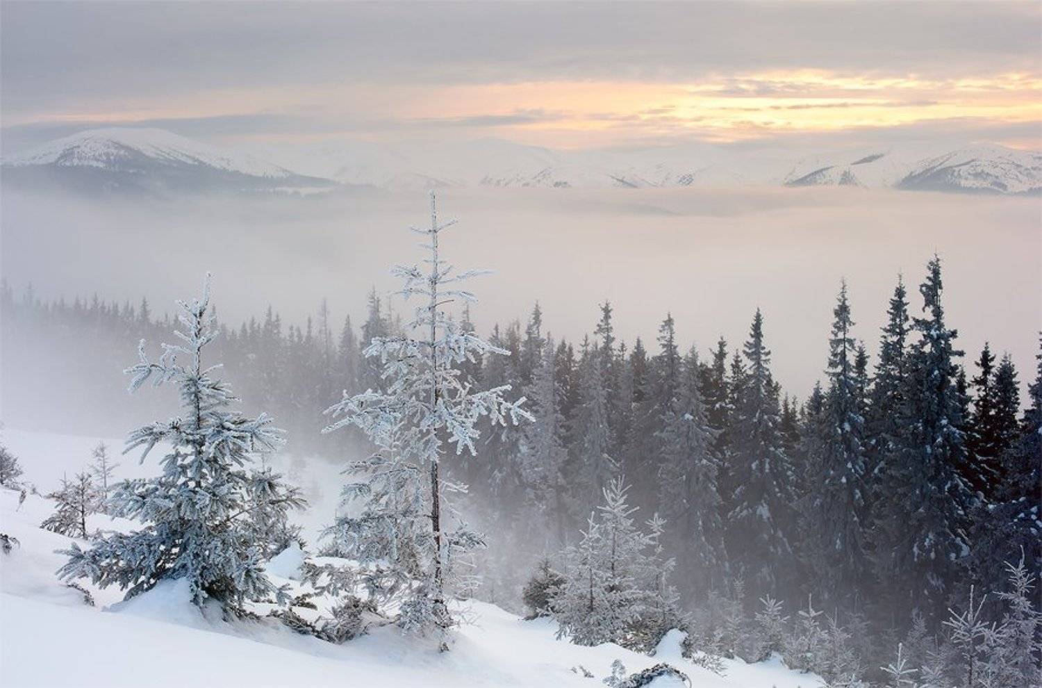 , Павло Пивовар Фотограф
