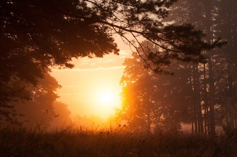 Утро фото превью