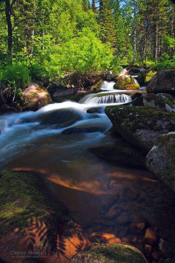 , Сергей Белявцев
