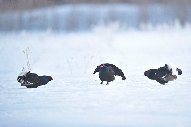 Love story фото превью