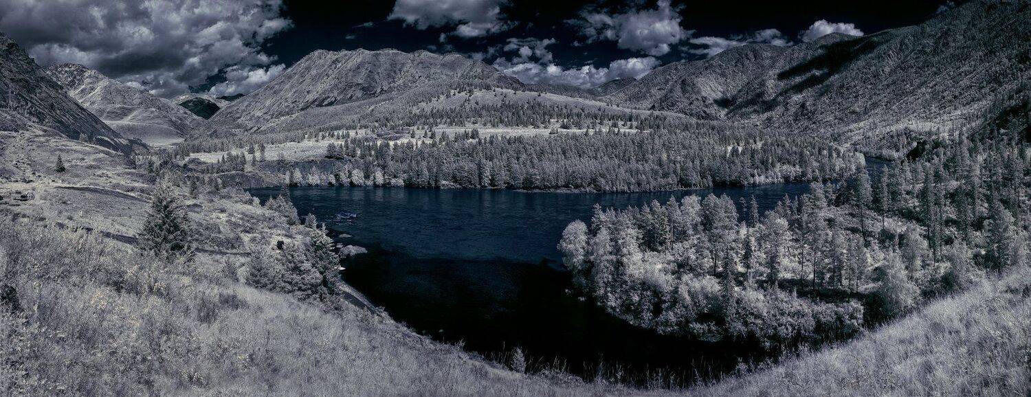 , Николай Ляпин