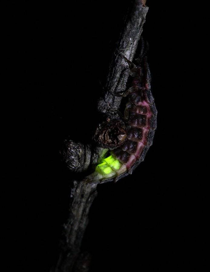 , Сергей Таланов