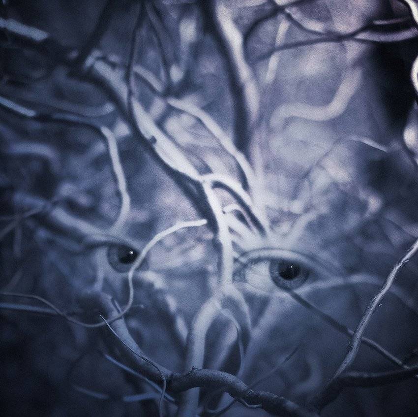 , Михаил  Пилипенко