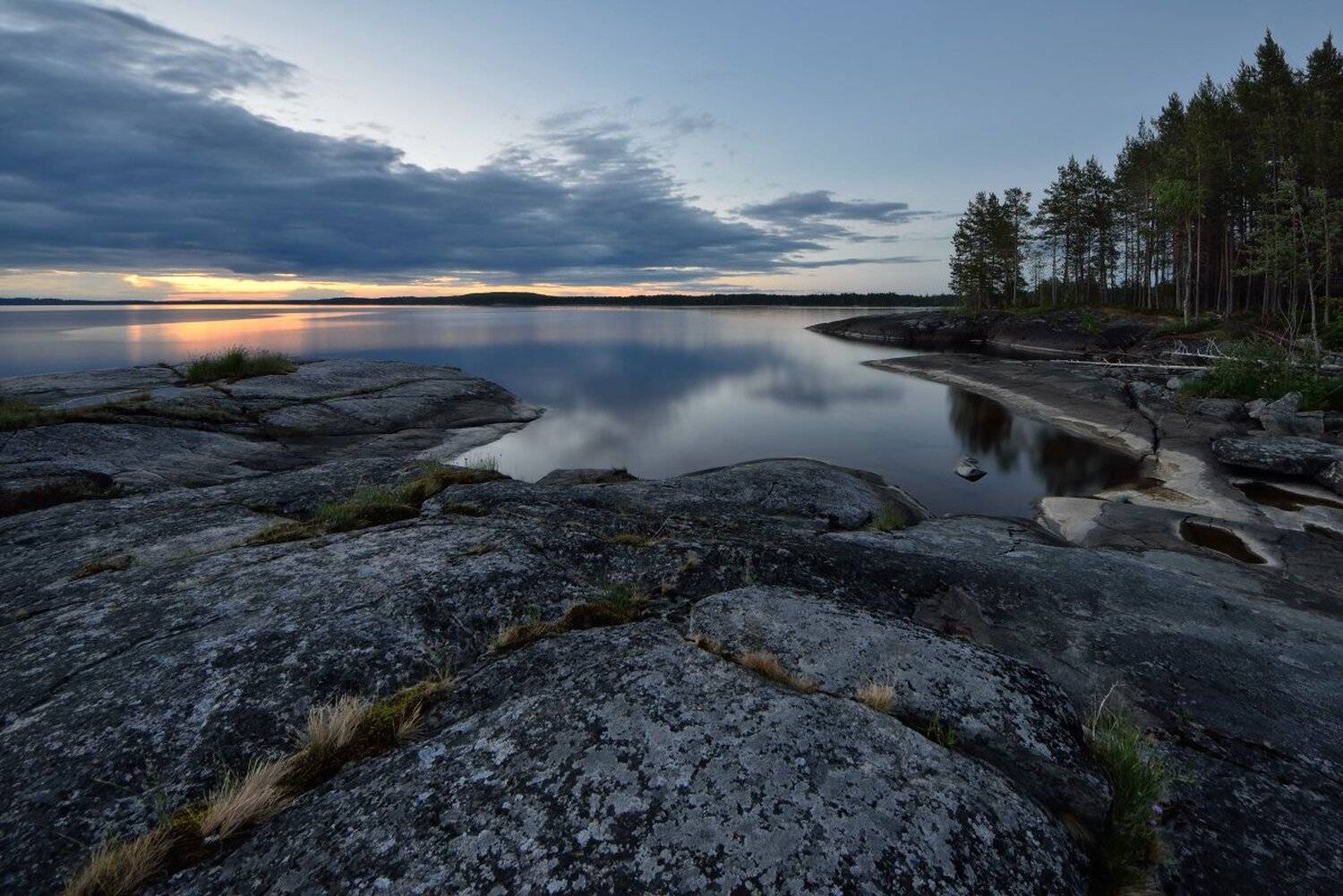 , Максим Евдокимов