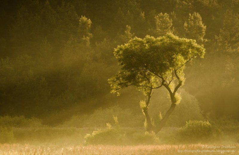 dancing ... фото превью