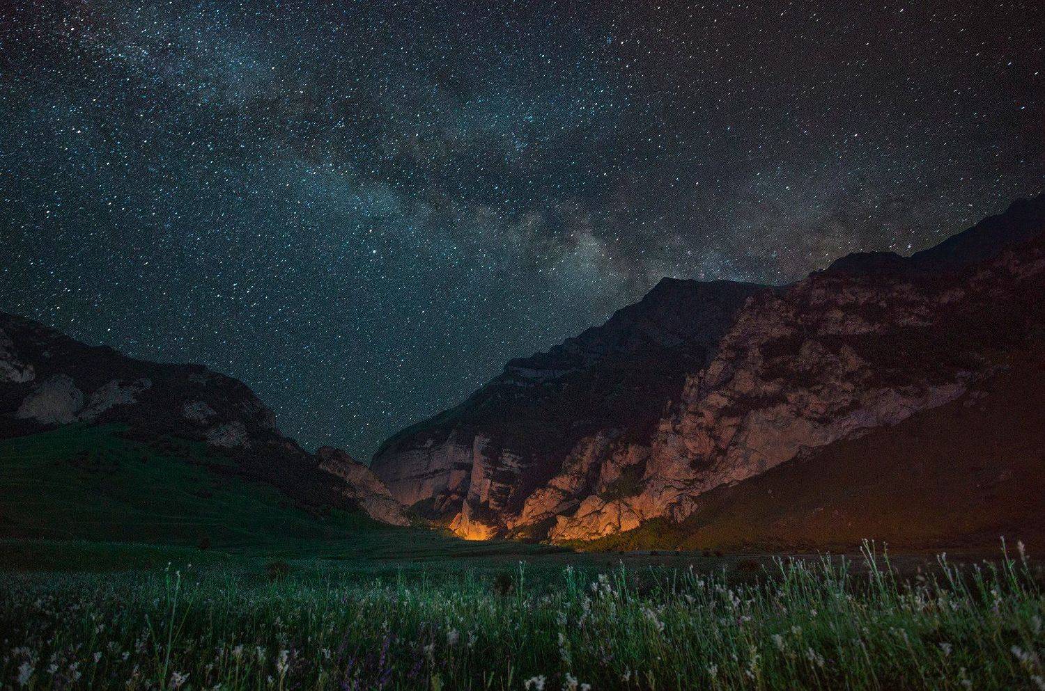 , Денис Богомолов