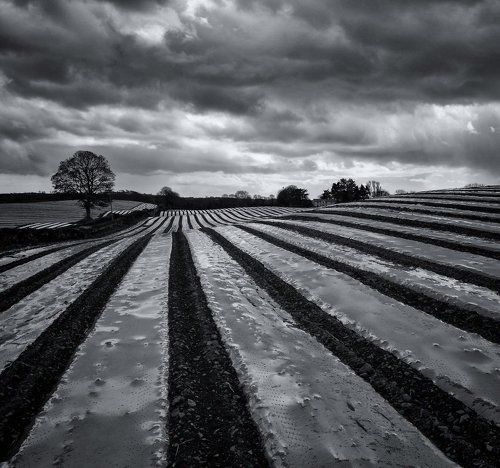 Geometrical Landscape