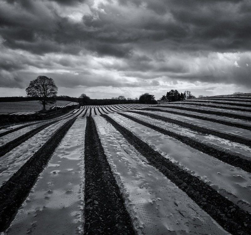 Geometrical Landscape фото превью