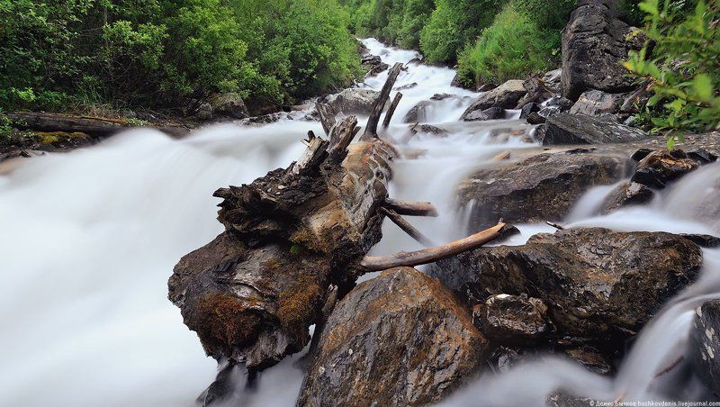 *** фото превью