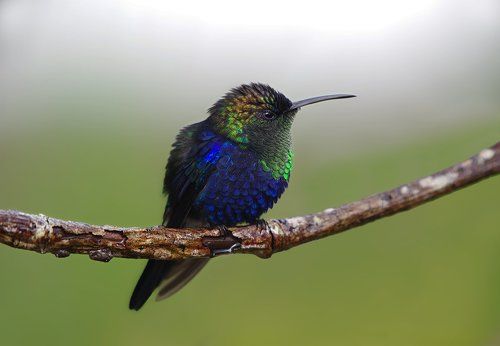 Два кадра из жизни небесных отпрысков