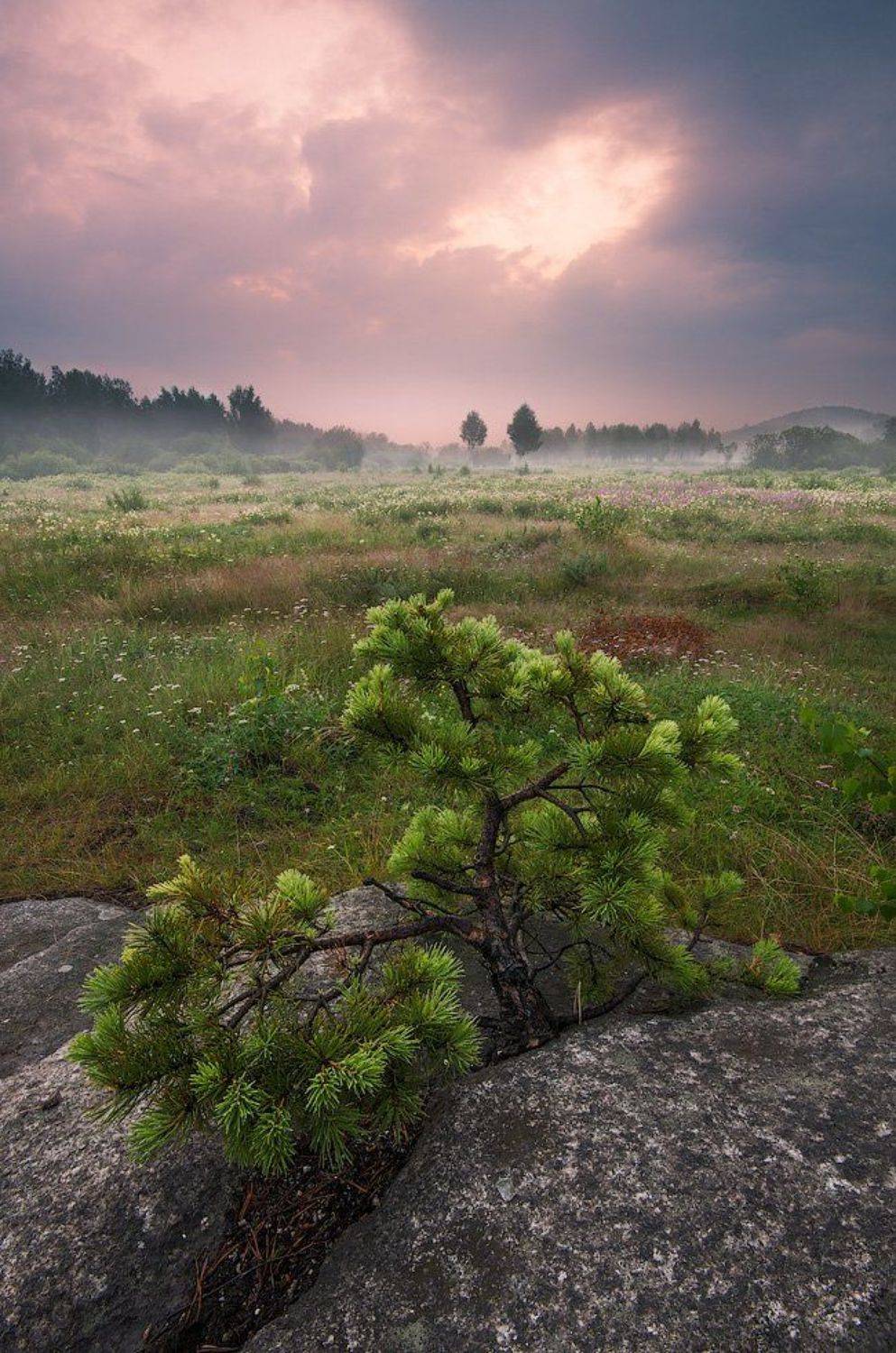 , Александр Гоголин