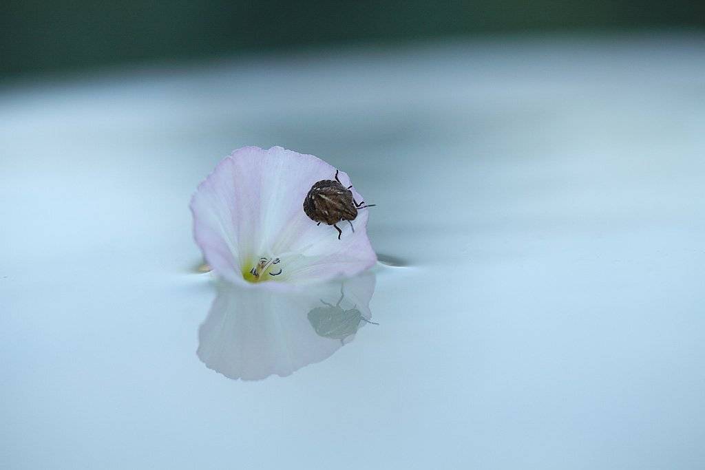 , Сергей Таланов