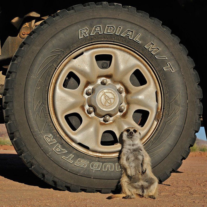 Дальнобойщик фото превью