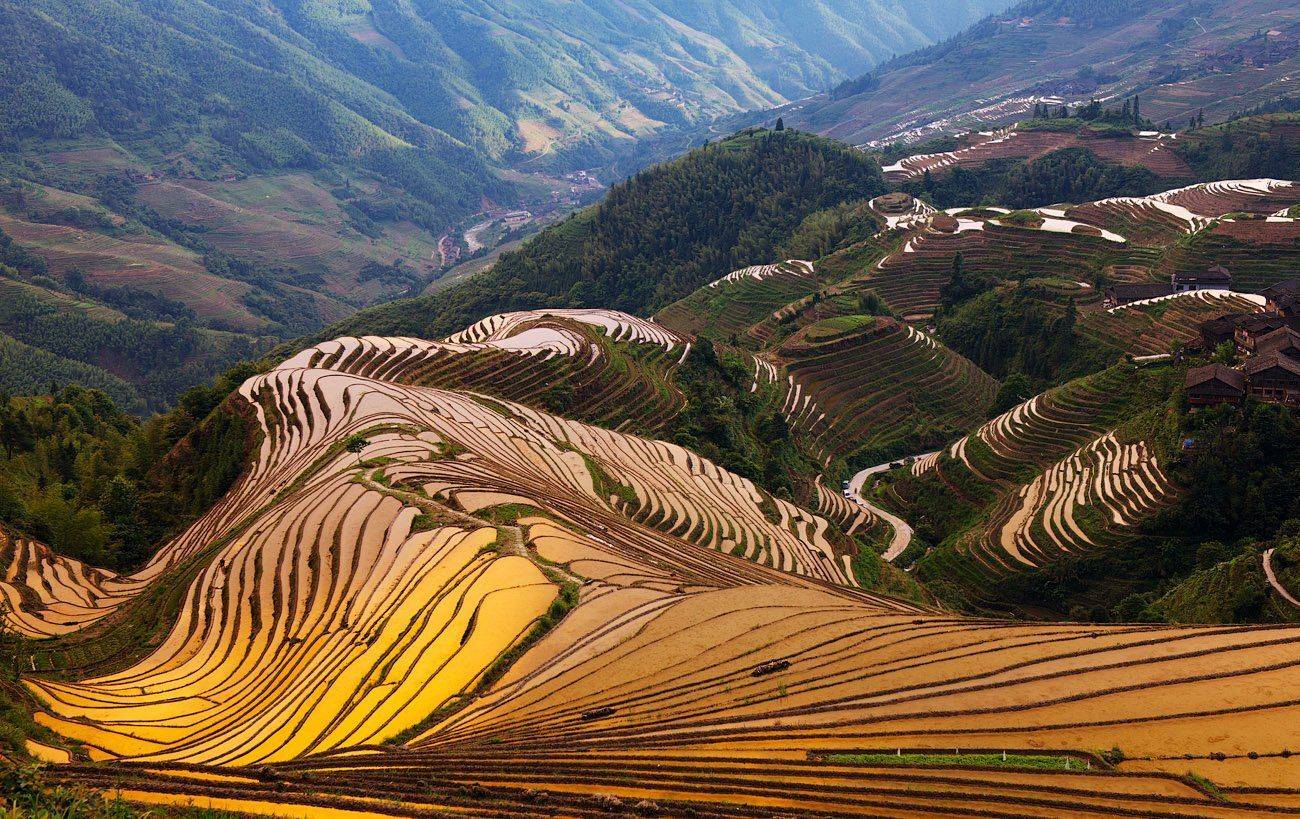 , Андрей Ведерников