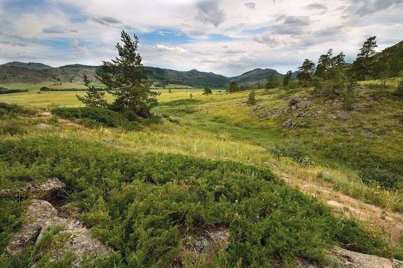 Кент фото превью