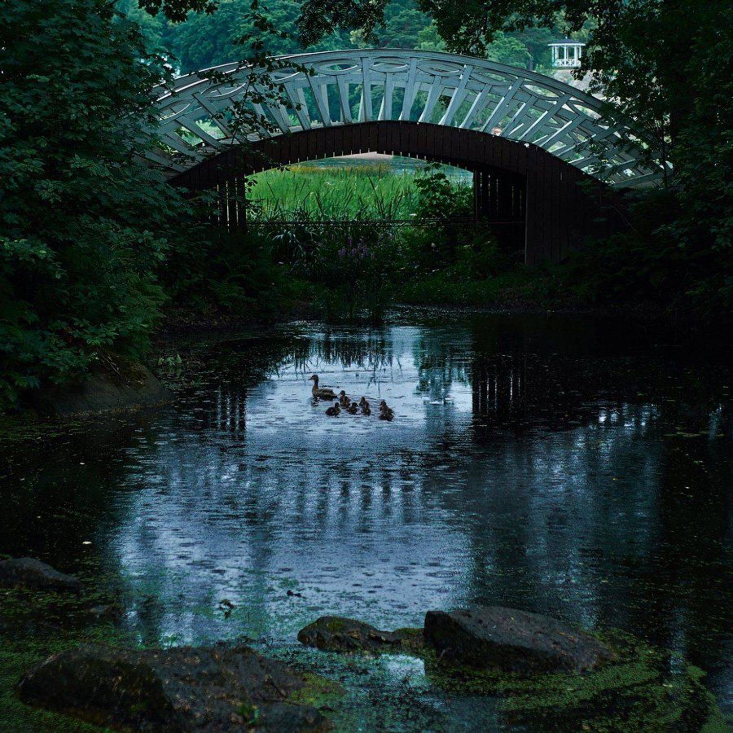 Выборг, Монрепо, Анна Аникина