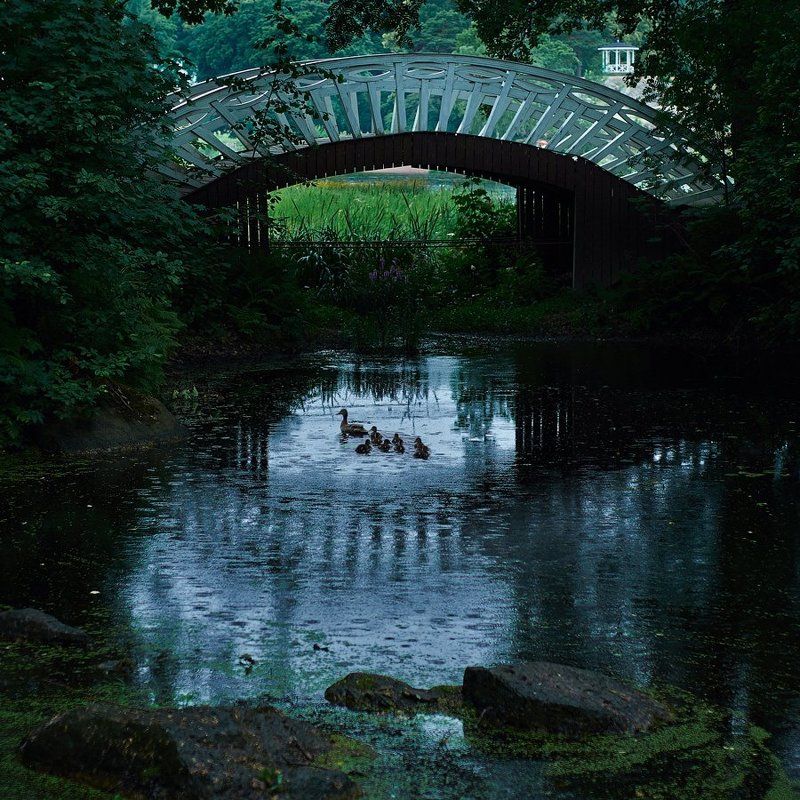 Выборг, Монрепо Парк Монрепо. Выборг. фото превью