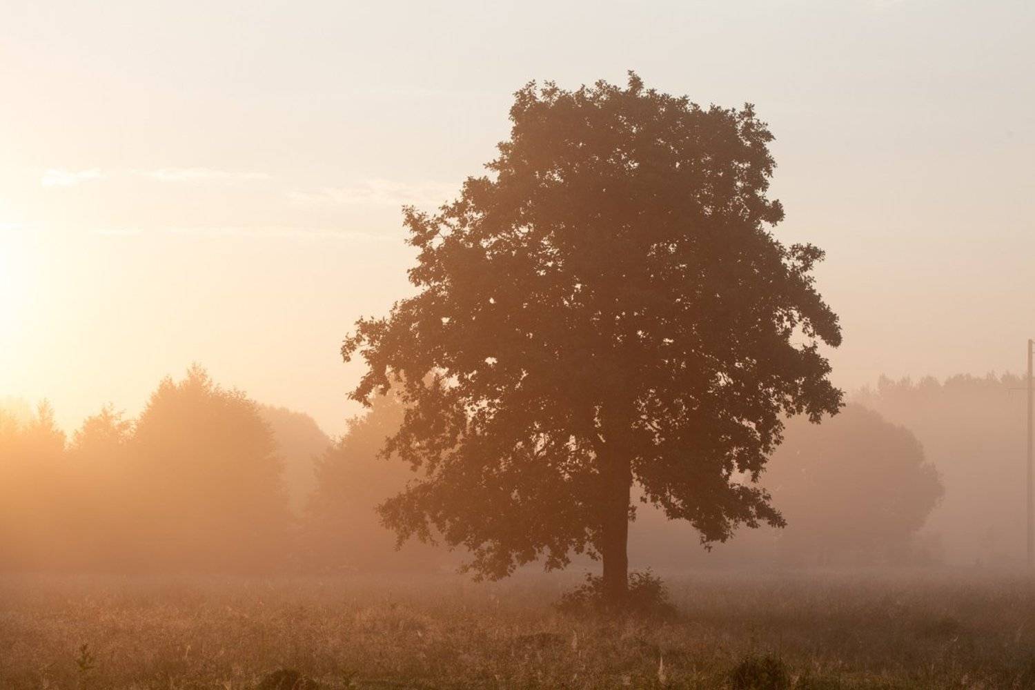 , Денис Беляев