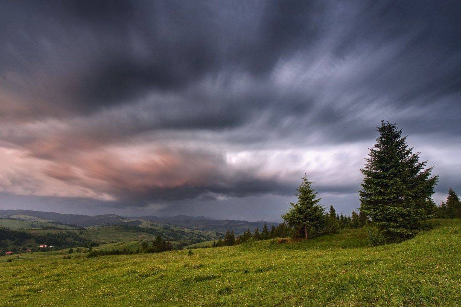 , Вейзе Максим