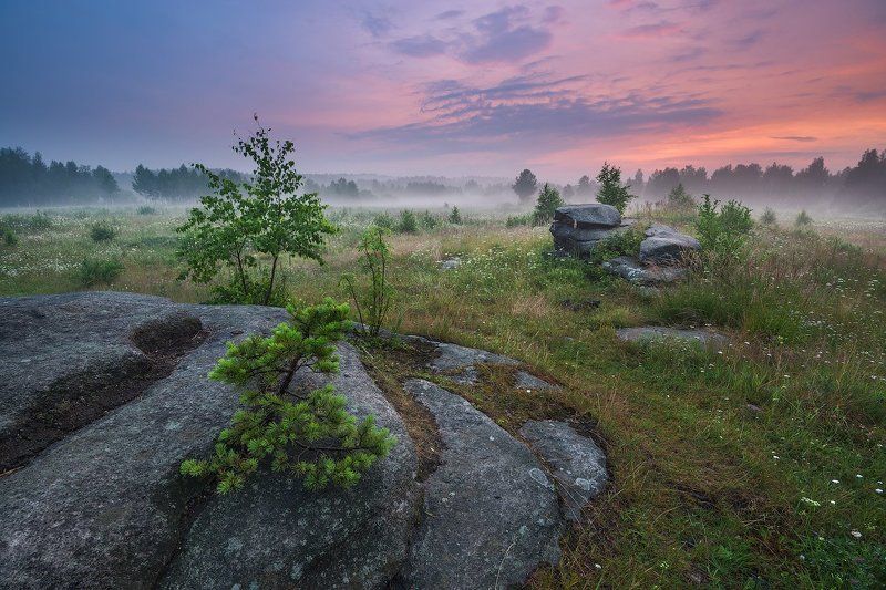 *** фото превью
