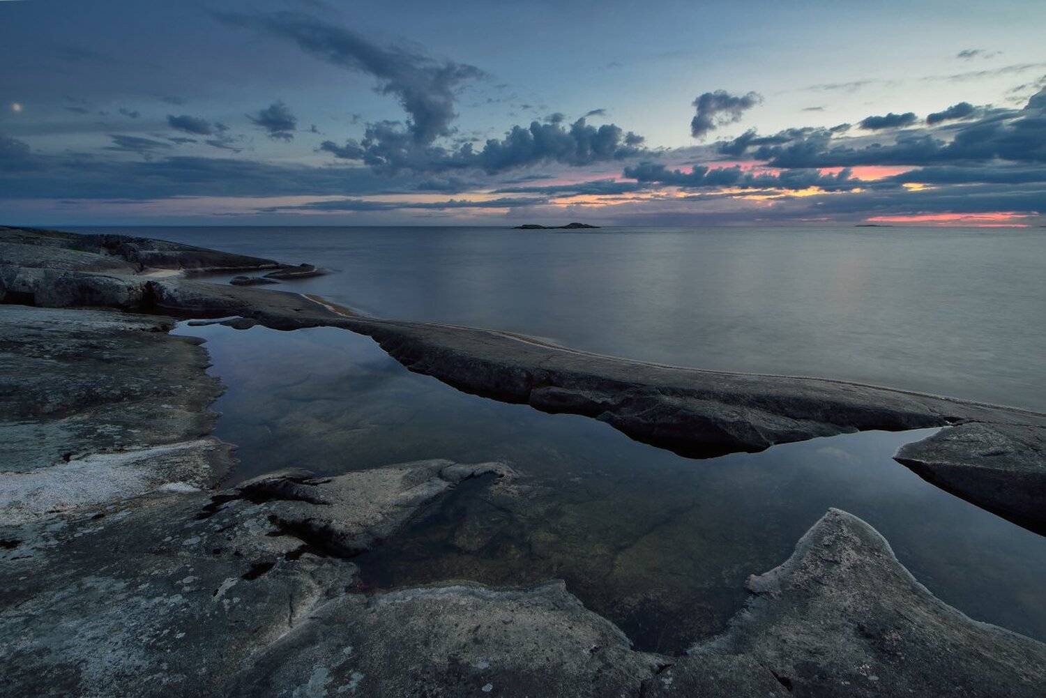 , Максим Евдокимов