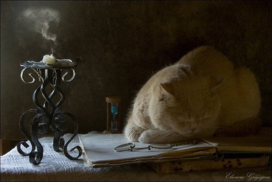 , Eleonora Grigorjeva