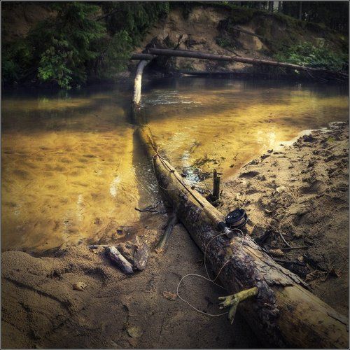 Харьюзовыми тропами II