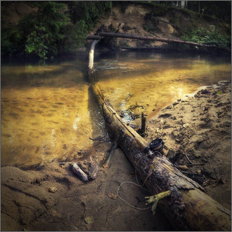 Беларусь, Нахлыст, Река, Рыбалка, Хариус Харьюзовыми тропами II фото превью