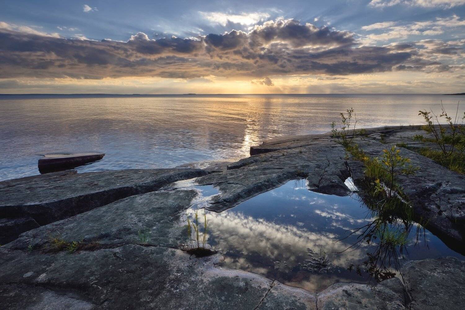 , Максим Евдокимов