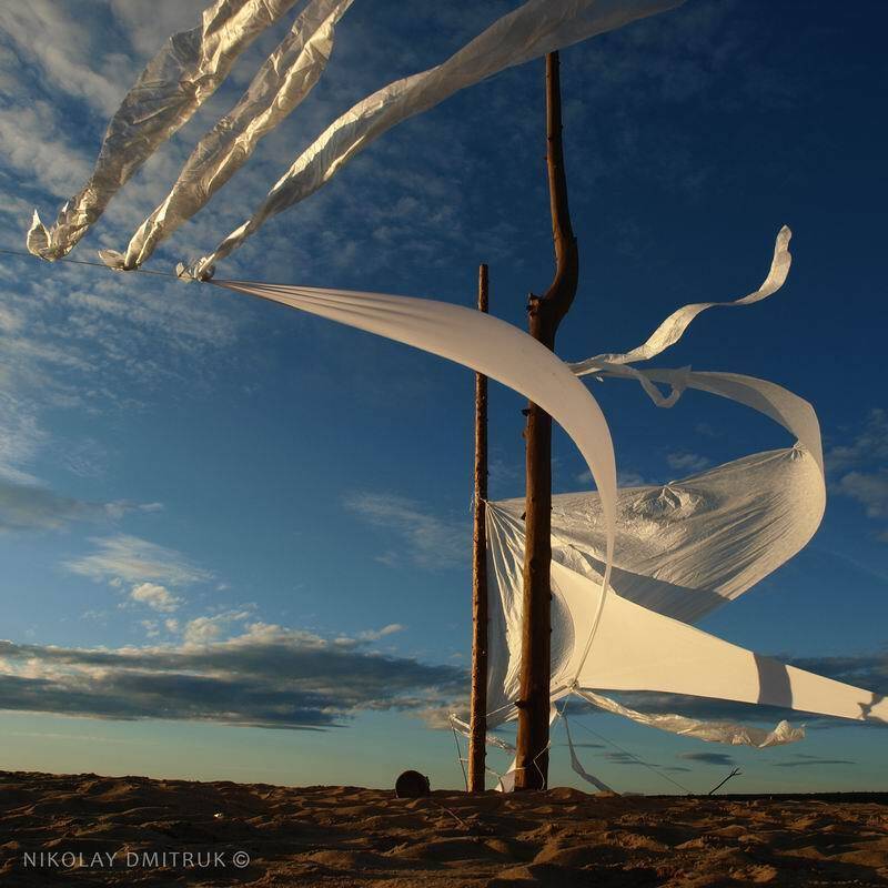 , николай дмитрук