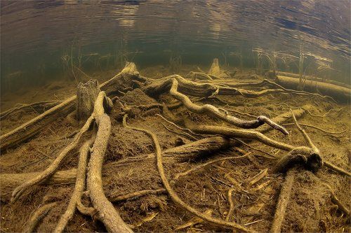 Подводная Карелия.