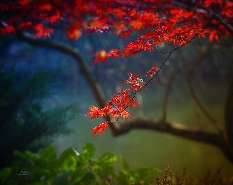 ... фото превью