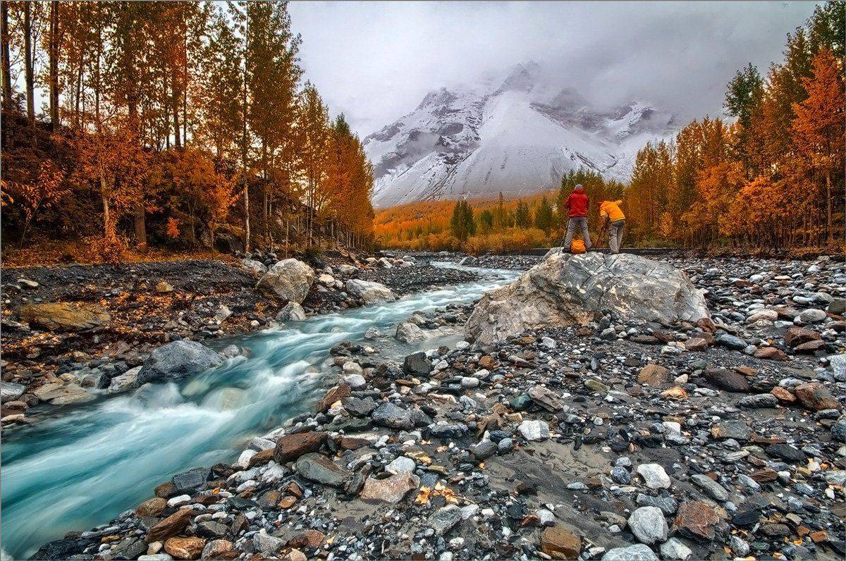 , Алексеевич