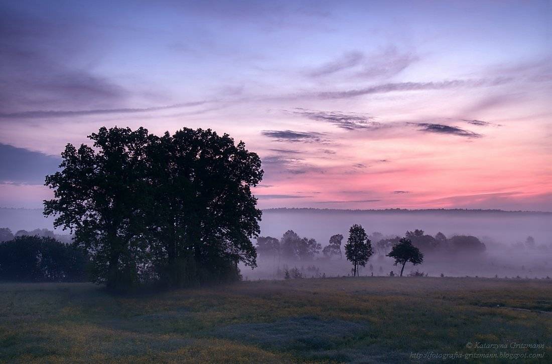 , Katarzyna Gritzmann