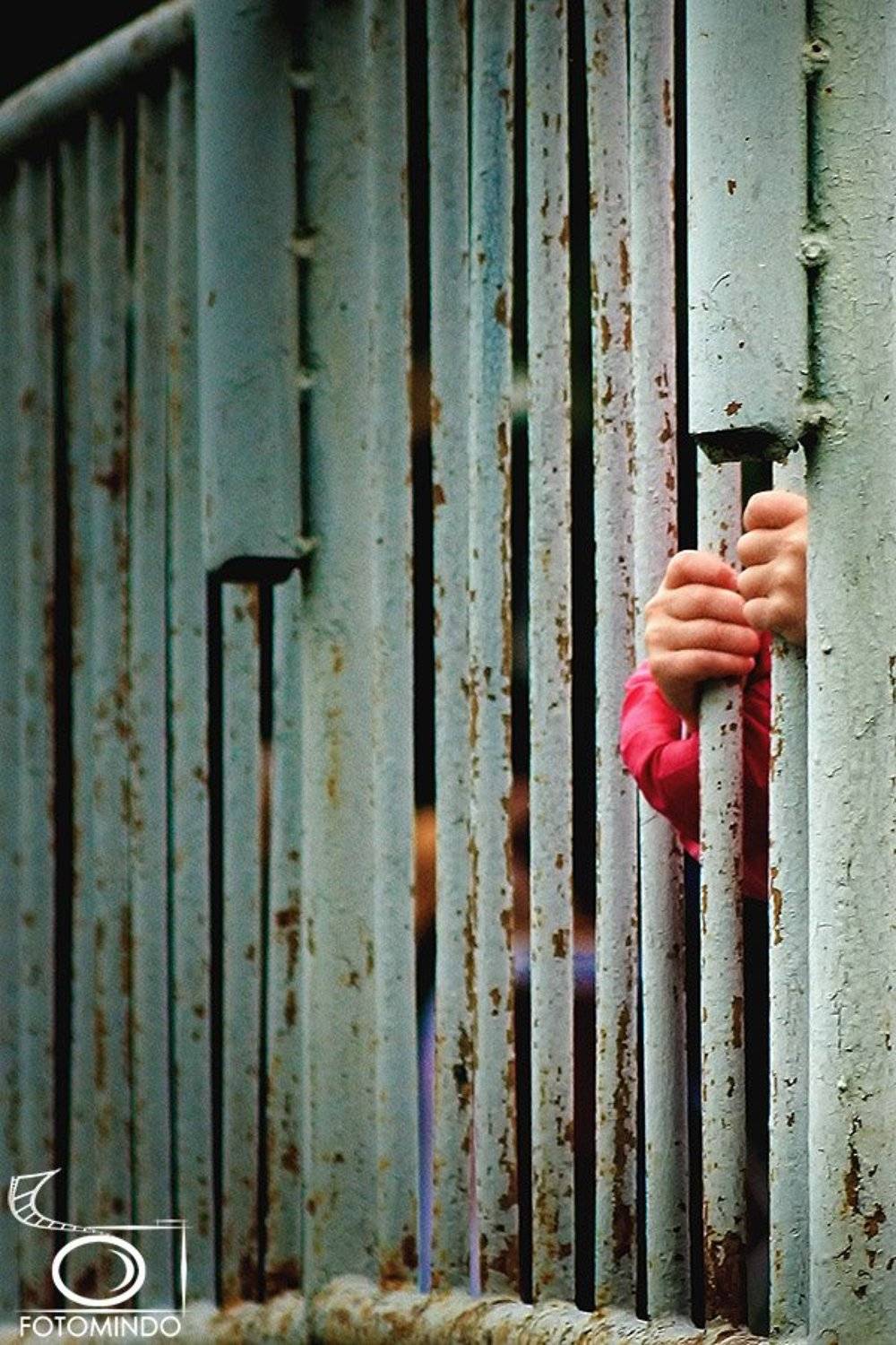 , Mindaugas Navickas