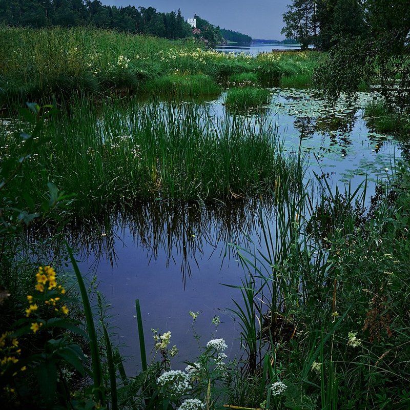 Выборг, Монрепо Выборг. парк Монрепо. Остров Мёртвых. фото превью