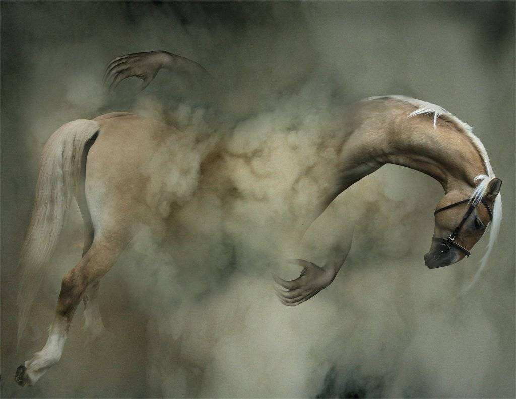 , Поздняк Виктор