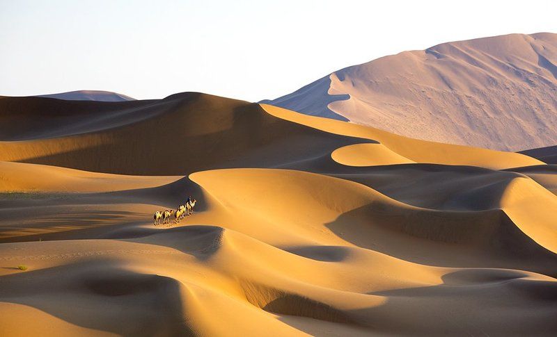 The Silk Road фото превью