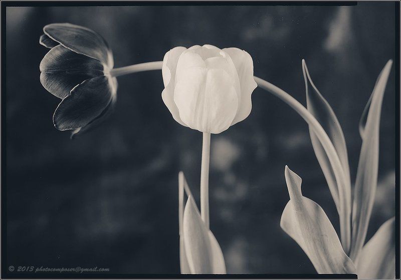 paper, negative Monday morning... фото превью