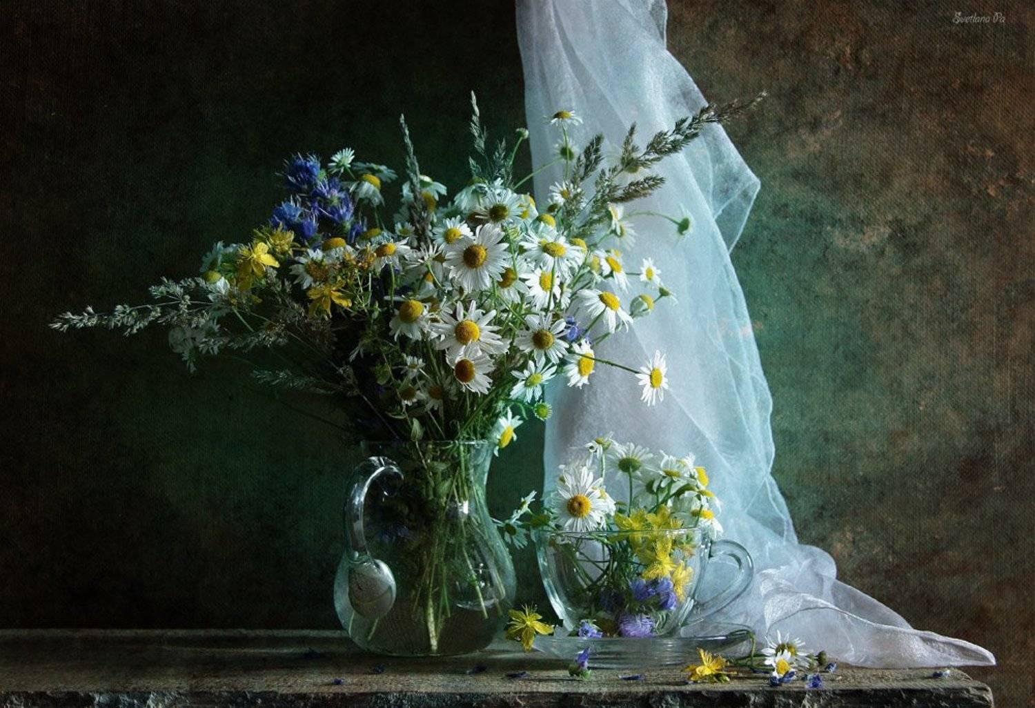 цветы, натюрморт, Svetlana Ра