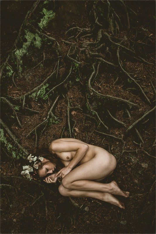 сон... фото превью