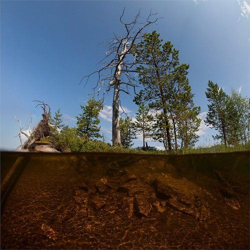 Подводная Карелия. Часть II.