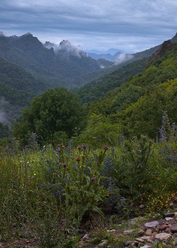 Карачаевские виды с шотландским мотивом