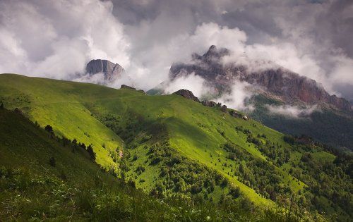 На погодной кухне