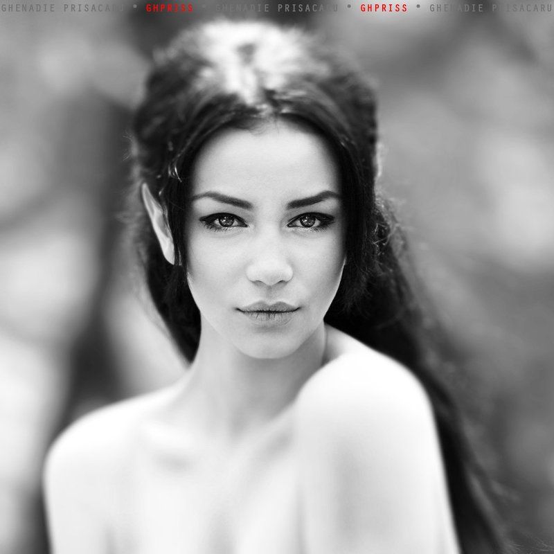 Arwen фото превью