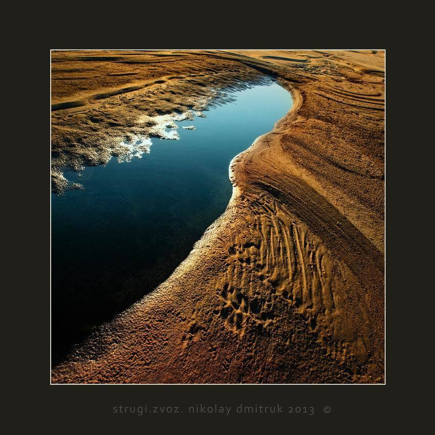 , николай дмитрук