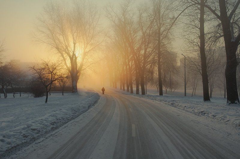... к свету ... фото превью
