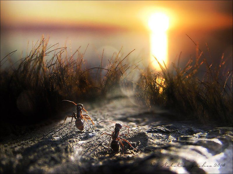 Достучаться до небес фото превью